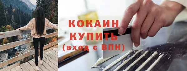 ПСИЛОЦИБИНОВЫЕ ГРИБЫ Горнозаводск