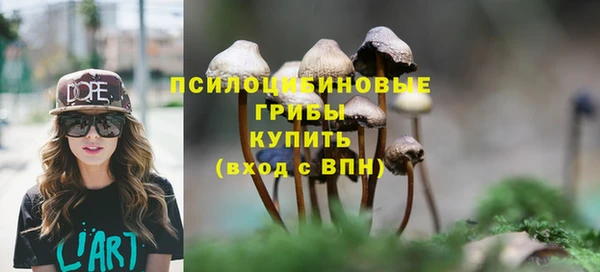 эйфоретик Сосновоборск