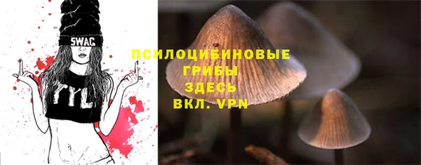 ПСИЛОЦИБИНОВЫЕ ГРИБЫ Горнозаводск