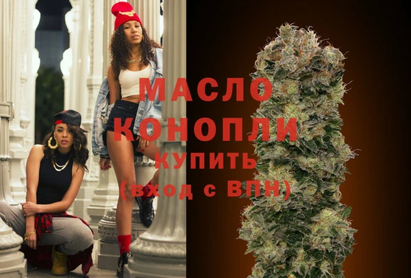 гашик Горняк