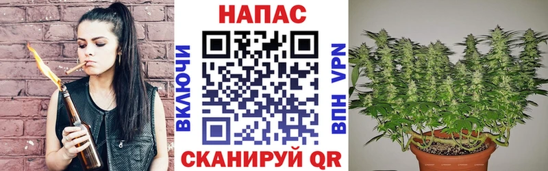 Каннабис план  Купить закладки  Лермонтов 